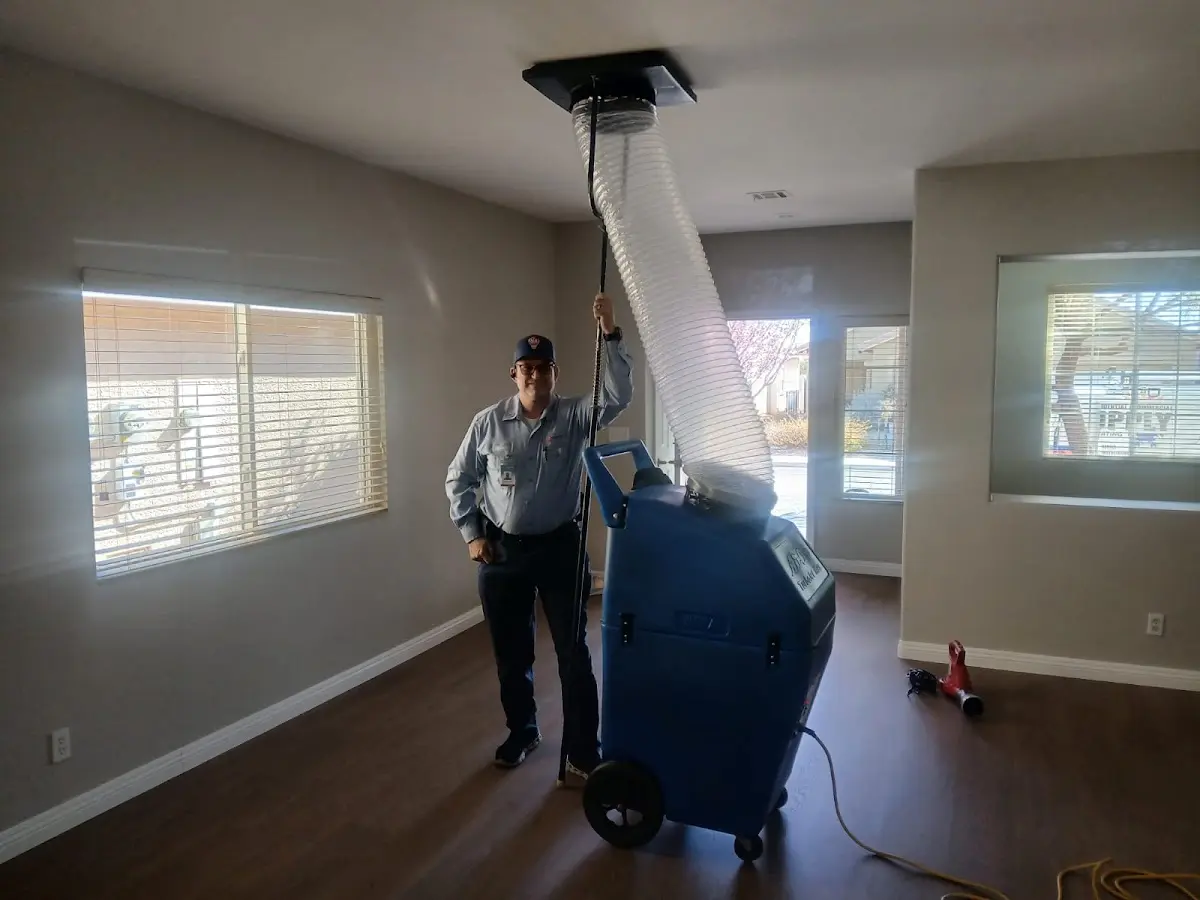 Professional Dryer Vent Cleaning work inside a Ellisville home
